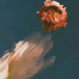 殴美大荫蒂女人视频
