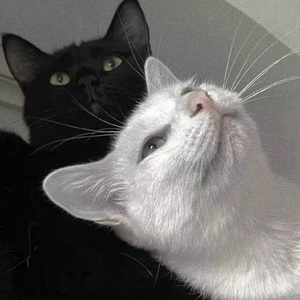 殴美大荫蒂女人视频
